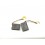 Carbones 22x16x6.3